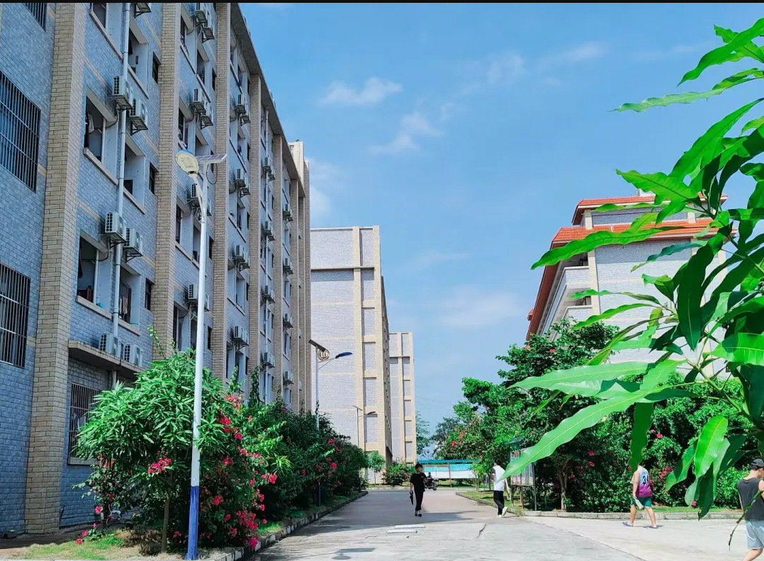 一隅溫暖，只因“寓”見(jiàn)你｜你的大學(xué)宿舍長(zhǎng)這樣！